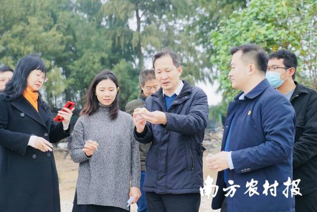 李建艺在西埠村海滩调研