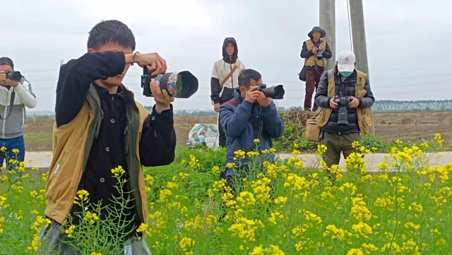 广东省摄影家协会和湛江市摄影家协会的成员们纷纷到梅田油菜花田采风
