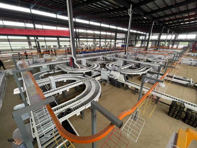 正在调试中的菠萝分拣线。