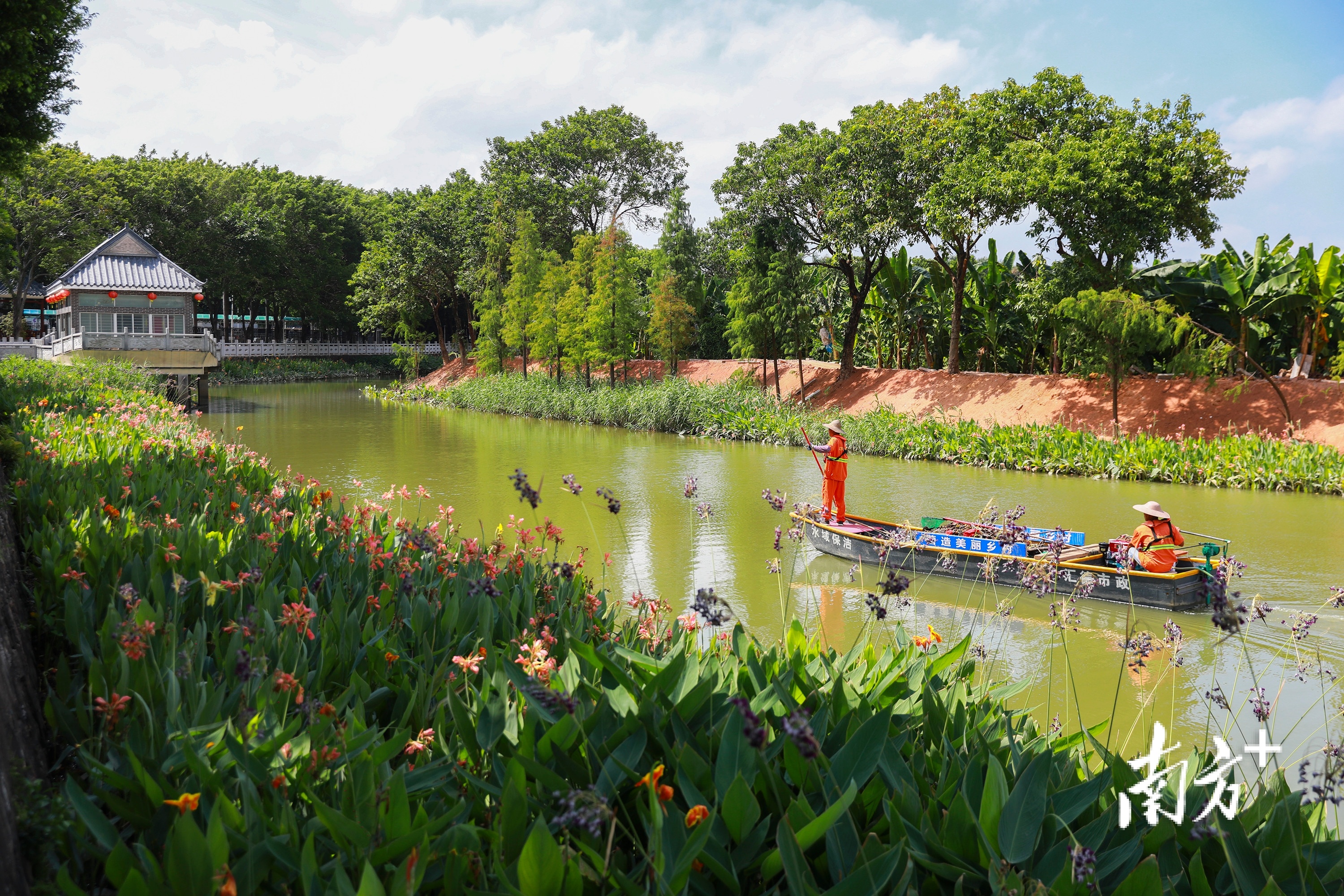 麻涌镇麻二村。 麻涌镇麻二村。