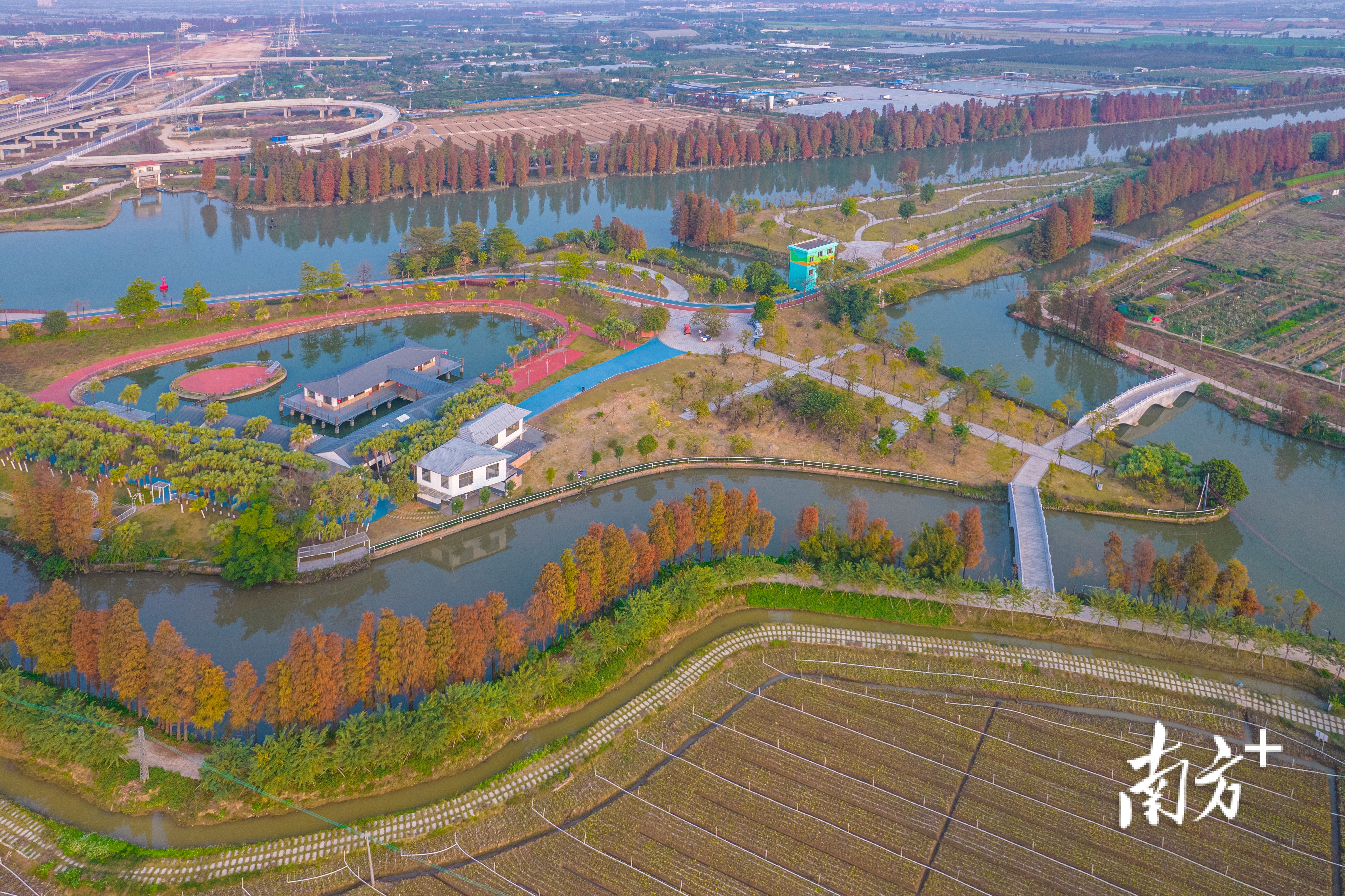 在乡村绿廊建设的带动下,江海区同步推进都市农业生态公园建设,沿线乡村迎来了产业发展契机,有效带动农民增收致富。 彭伟宗 摄 在乡村绿廊建设的带动下,江海区同步推进都市农业生态公园建设,沿线乡村迎来了产业发展契机,有效带动农民增收致富。 彭伟宗 摄