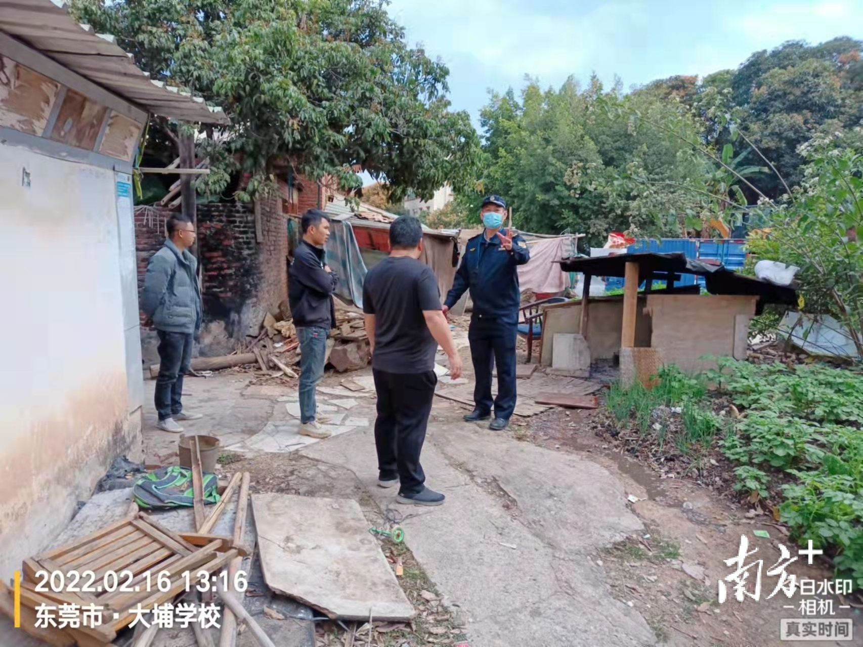 大埔片长。 大埔片长。