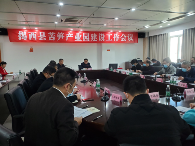 揭西县全面推进苦笋现代农业产业园建设