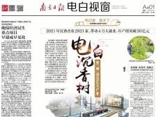 电白沉香树 “种”出百亿大产业|速览《南方日报·电白视窗》65期