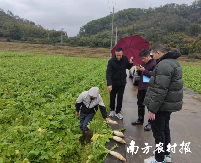 春耕備耕督導組指導農戶防寒防凍保生產。受訪者供圖