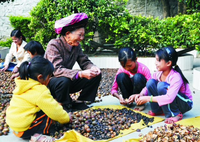 南方农村报 郑建斯 拍摄