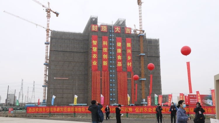 记者观察：一号文件鼓励工厂化集约养殖，高楼养猪应当成为产能稳定器