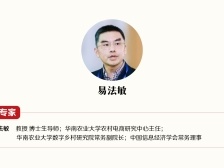 易法敏：实施“数商兴农”工程，广东农村电商要如何转型升级