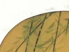 家国情怀出好诗