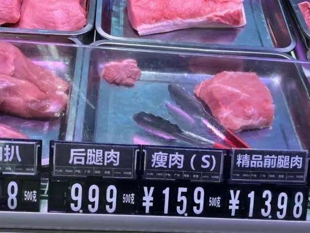 “高楼养猪”背后的广东猪肉保卫战丨新春走基层