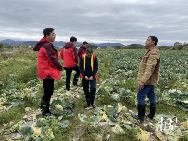 人保財險廣東省分公司黨委委員、副總經(jīng)理方曉棟（左一）在博羅縣檢查農(nóng)戶受損情況,。