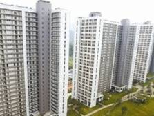 建面79万㎡，龙岗信义金御山居配建幼儿园+中小学+高中｜深圳楼市早7条