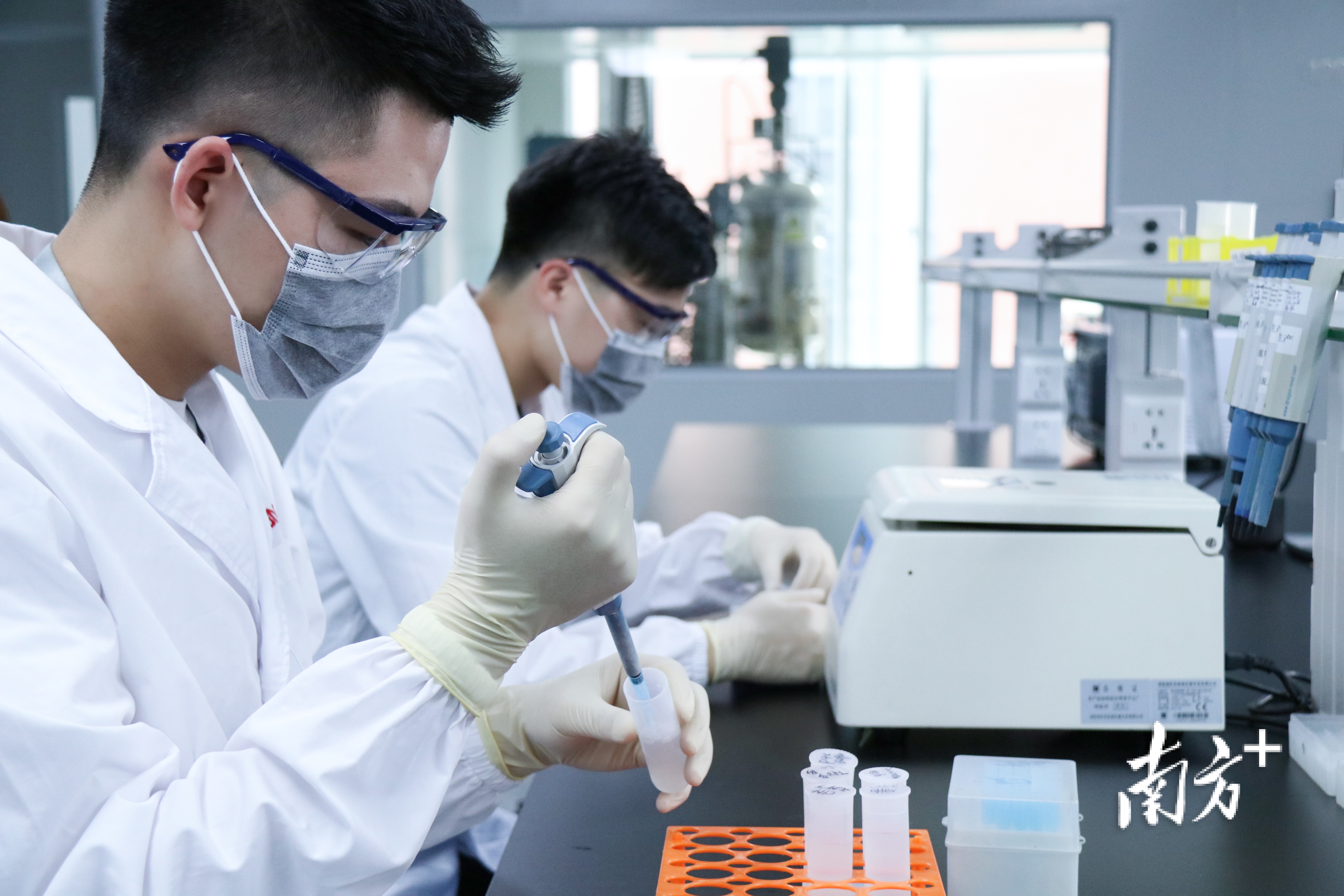 菲鹏生物科研人员(黄政正摄) 菲鹏生物科研人员(黄政正摄)