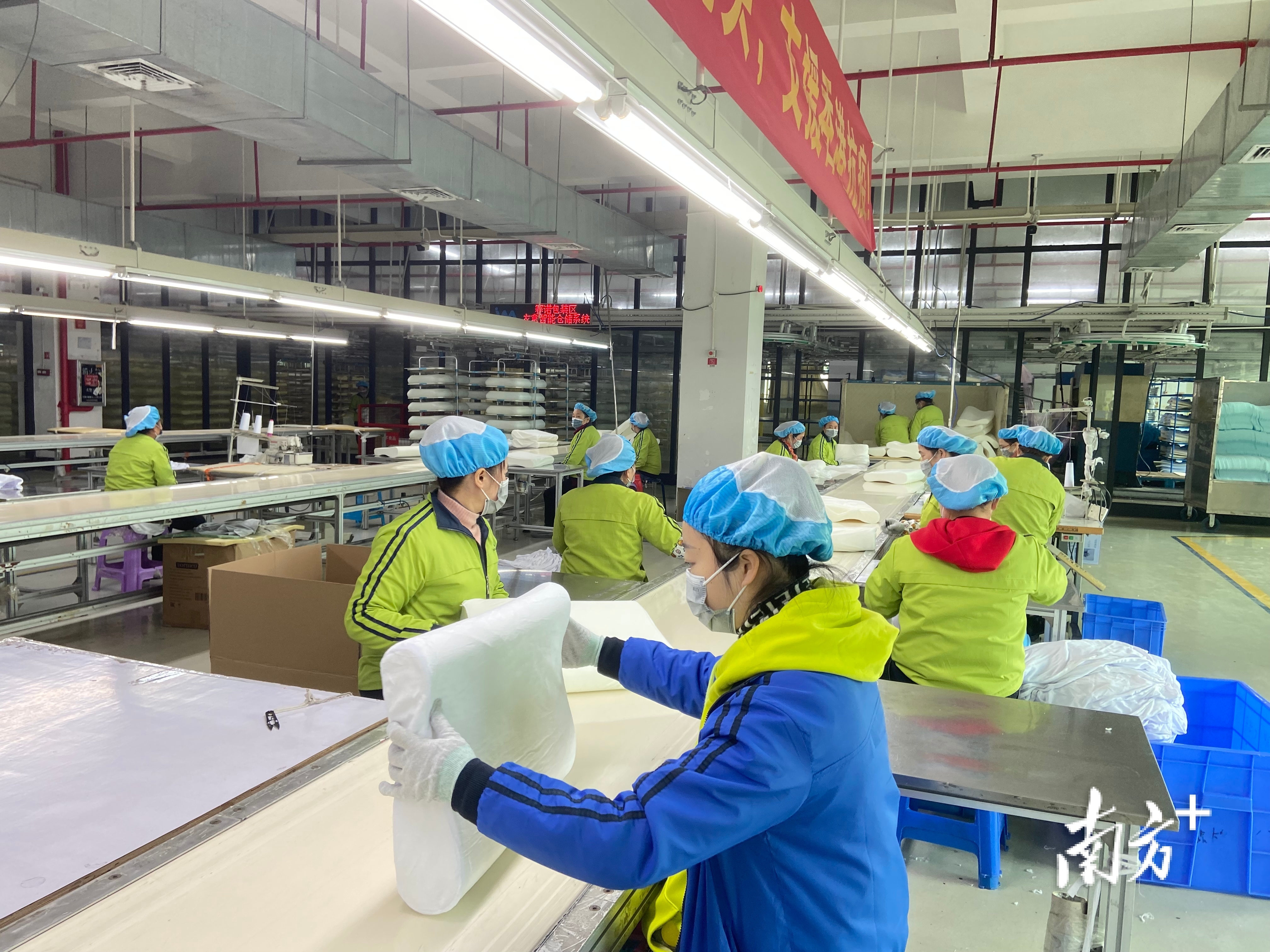 2月25日上午11时,满载着记忆枕的首批运输车,从位于塘厦镇的东莞赛诺家居用品有限公司驶出。从订单确定到紧急协调采购、生产、发运,再到最终交付,耗时不到48小时。