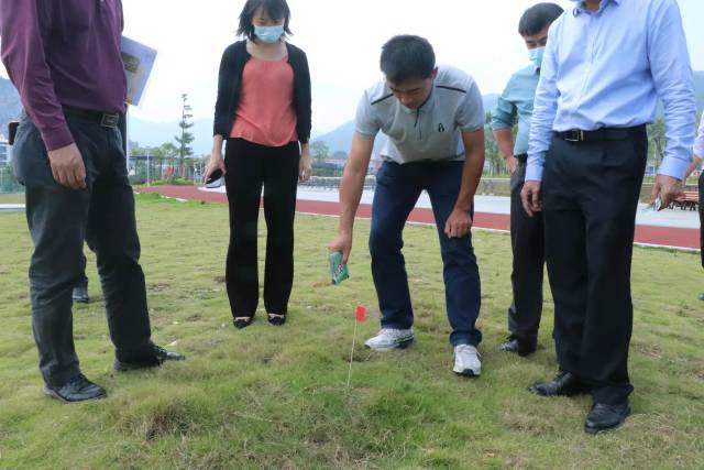红火蚁防控，饵剂撒施更有效。