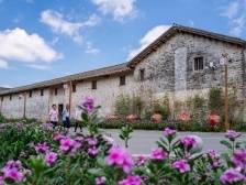 让历史文化遗产更好融入现代城市功能|速览《南方日报·高州视窗》49期