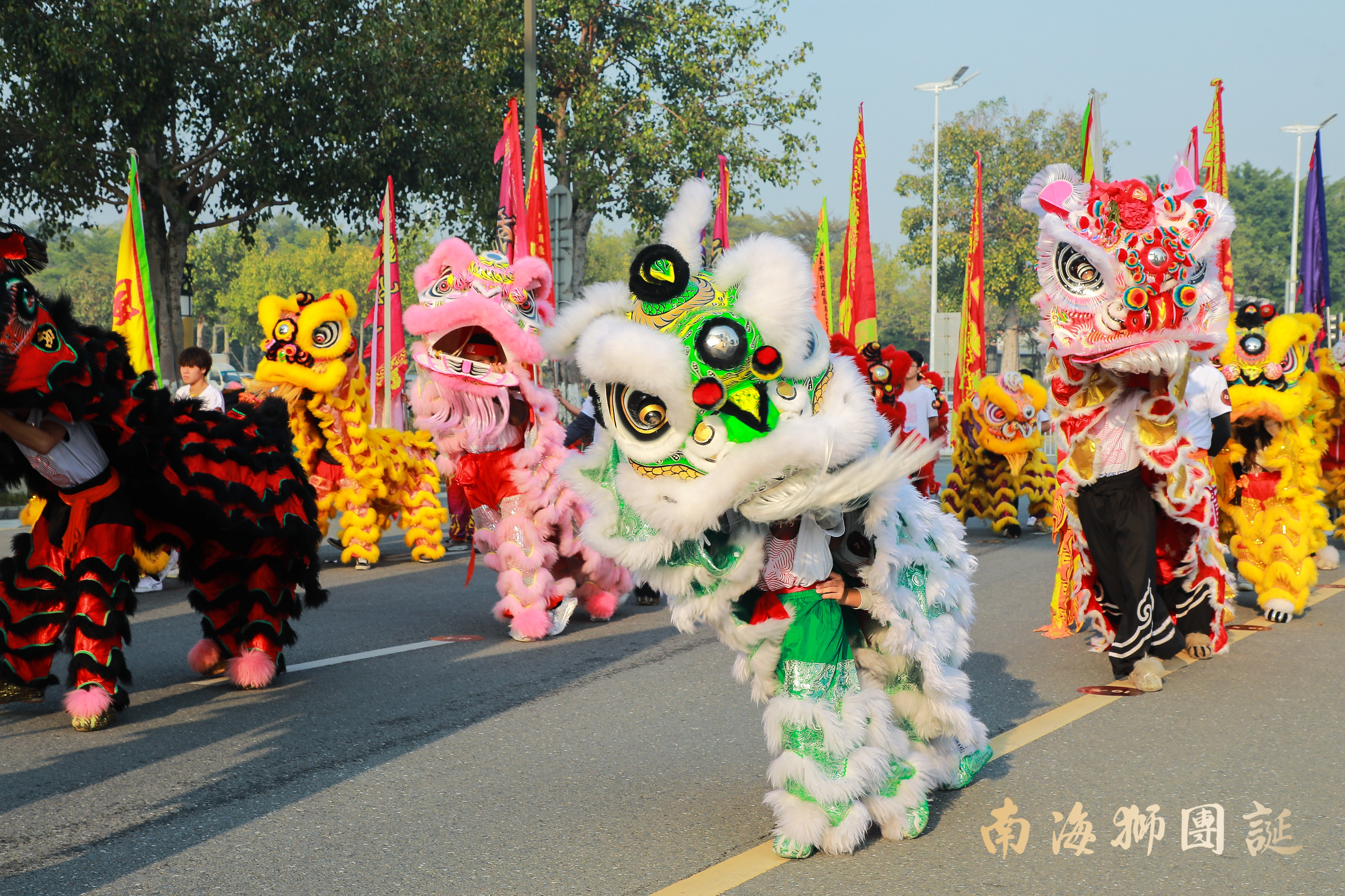 广西比麟堂醒狮团图片