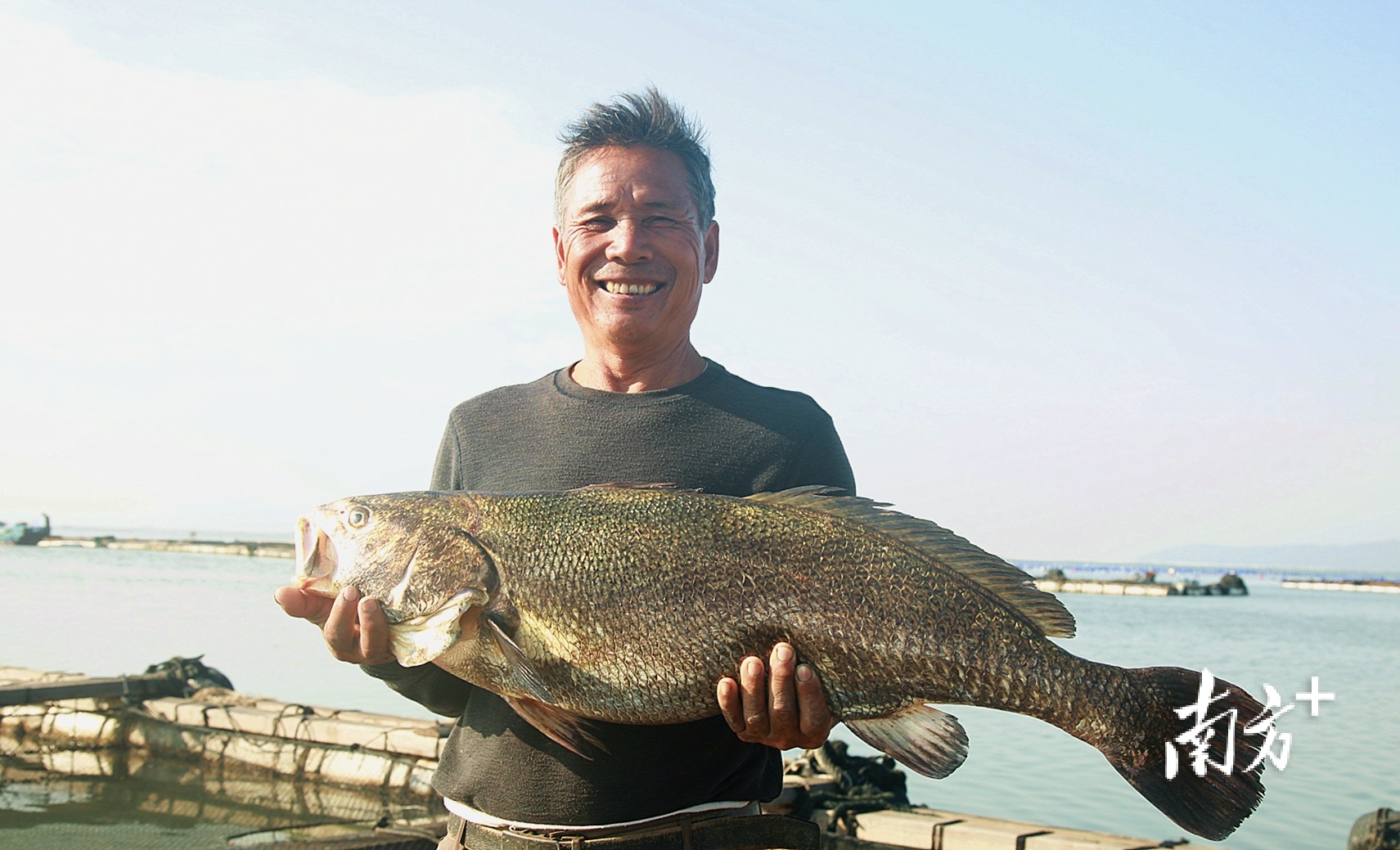 饶平县提出擦亮“中国海鮸之乡”等品牌，发展壮大对外农业产业集群。  受访者供图