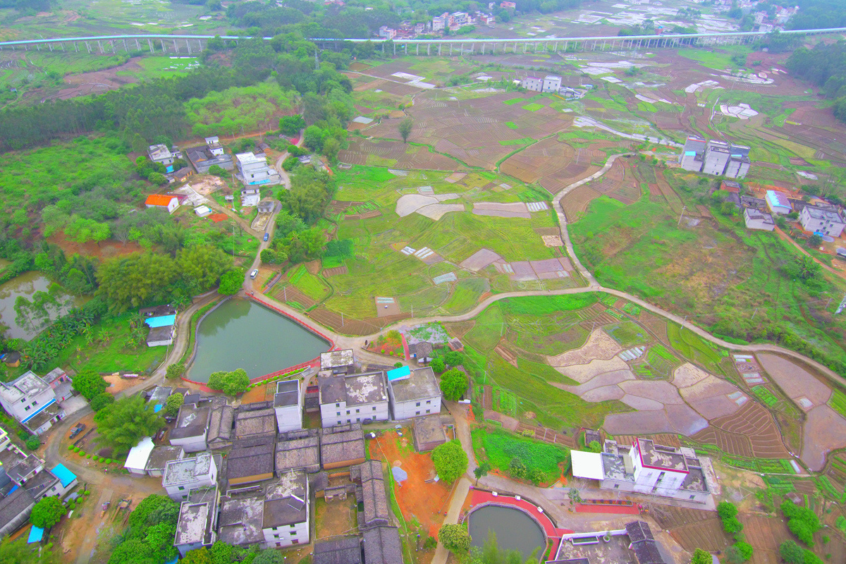 村内的荒地已经变成连片的蔬菜种植基地。 村内的荒地已经变成连片的蔬菜种植基地。
