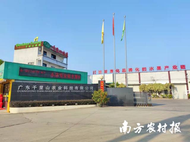 千里山公司佛山总部。