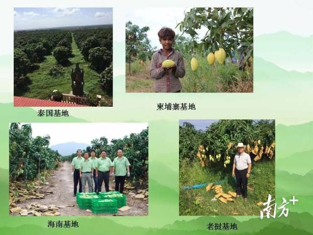 千里山公司东南亚基地  受访者供图