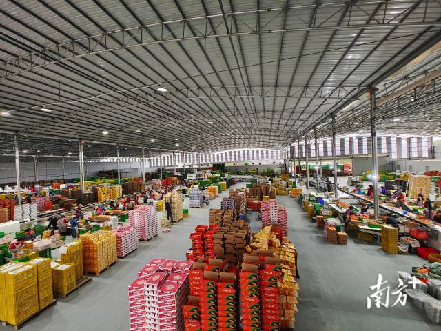 千里山位于广西的水果仓库.  受访者供图