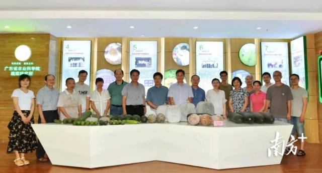 省农科院蔬菜所瓜类资源与育种学科团队。