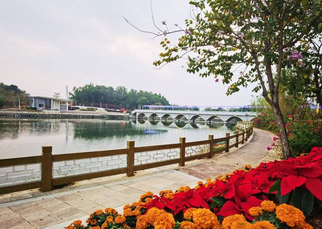 热点解读:电白全域创建美丽宜居村,有哪些标准?如何验收?