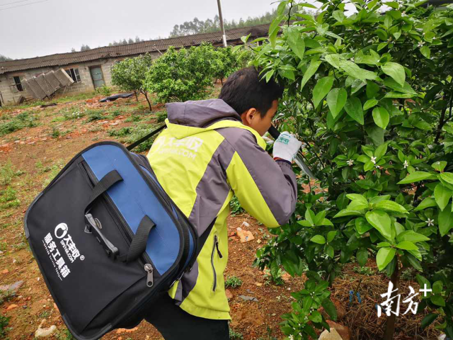 大丰收托管团队带上服务工具箱为种植户服务