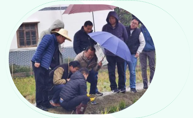 服务农业抗冻救灾第一线！轻骑兵为生产赋能