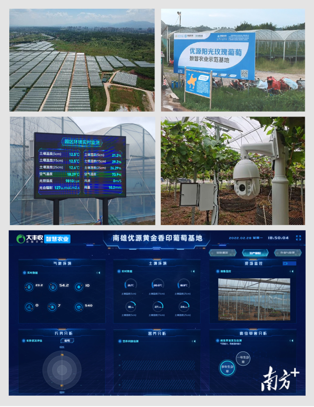 通过大丰收智慧农业系统可看到基地的实时数据