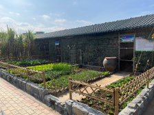 电白：长效管护 做好“后半篇”文章