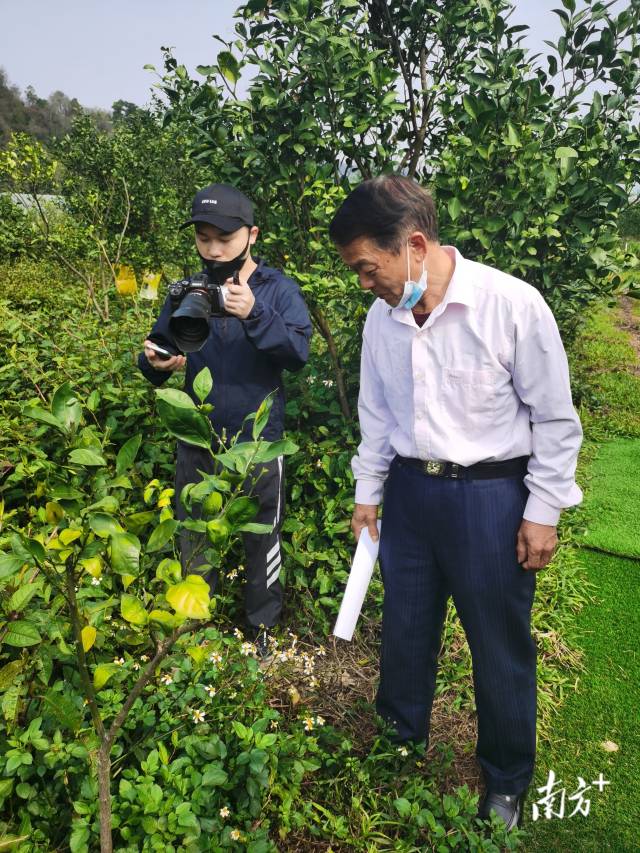 老邹细心观察东璞农业种植基地。  南方农村报 周志方 拍摄