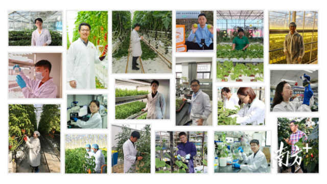 ▲ 图为入围第二届“多多农研科技大赛”决赛的农业青年才俊。