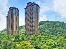 已偿还4.356亿美元，雅居乐发力票据赎回