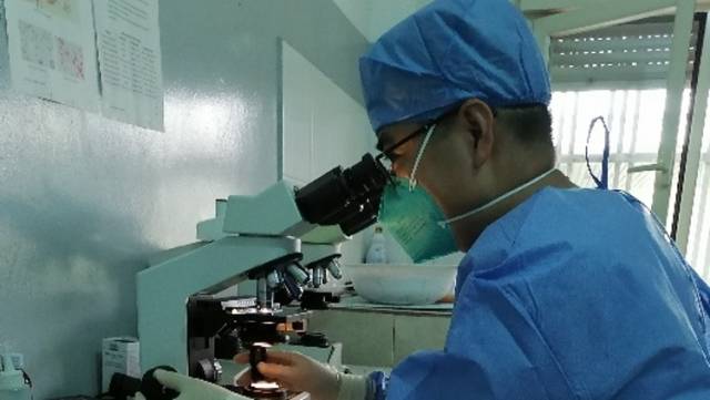 援非日记26|我与非洲疟疾斗争的这一年