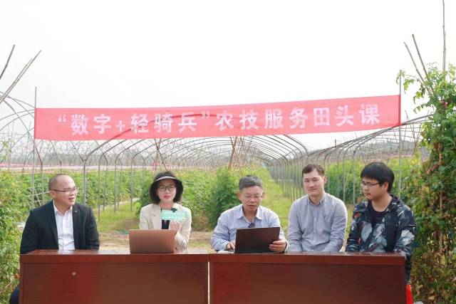 遂溪直播现场。由左至右分别是遂溪县界炮镇党委副书记、镇长岑志东，广东省农业技术推广中心副部长黄真珍、广东省农业科学院蔬菜研究所研究员黎振兴、湛江市农业科学院蔬菜研究所所长冯恩友、广州骄阳农业技术有限公司技术总监侯军晓。