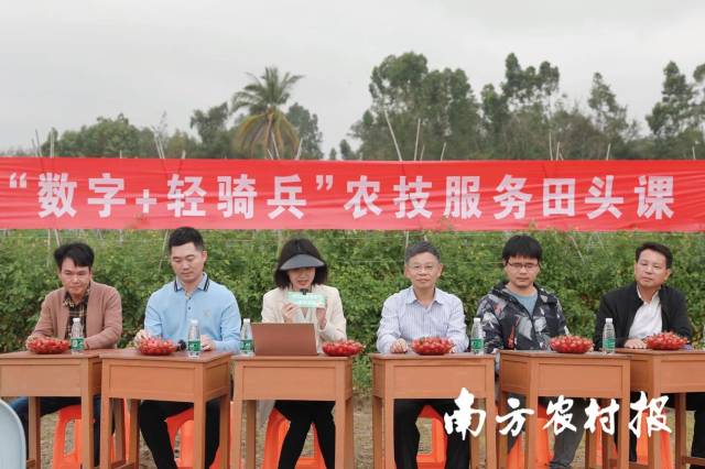 茂名电白田头课现场。由左至右分别是广东蓝禾农业有限公司总经理邵益家（左一）、欧美泰集团董事长陈国波（左二）、国家大宗蔬菜产业技术体系茂名综合试验站站长邵建明研究员（右一）加入到“轻骑兵”队伍，现场分享樱桃番茄高品质种植经验。