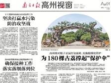 ​再获“国”字招牌|速览《南方日报·高州视窗》50期