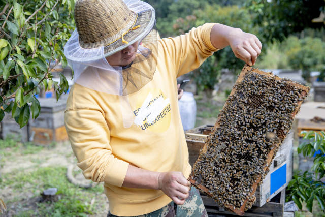 南方农村报 王富迪 拍摄