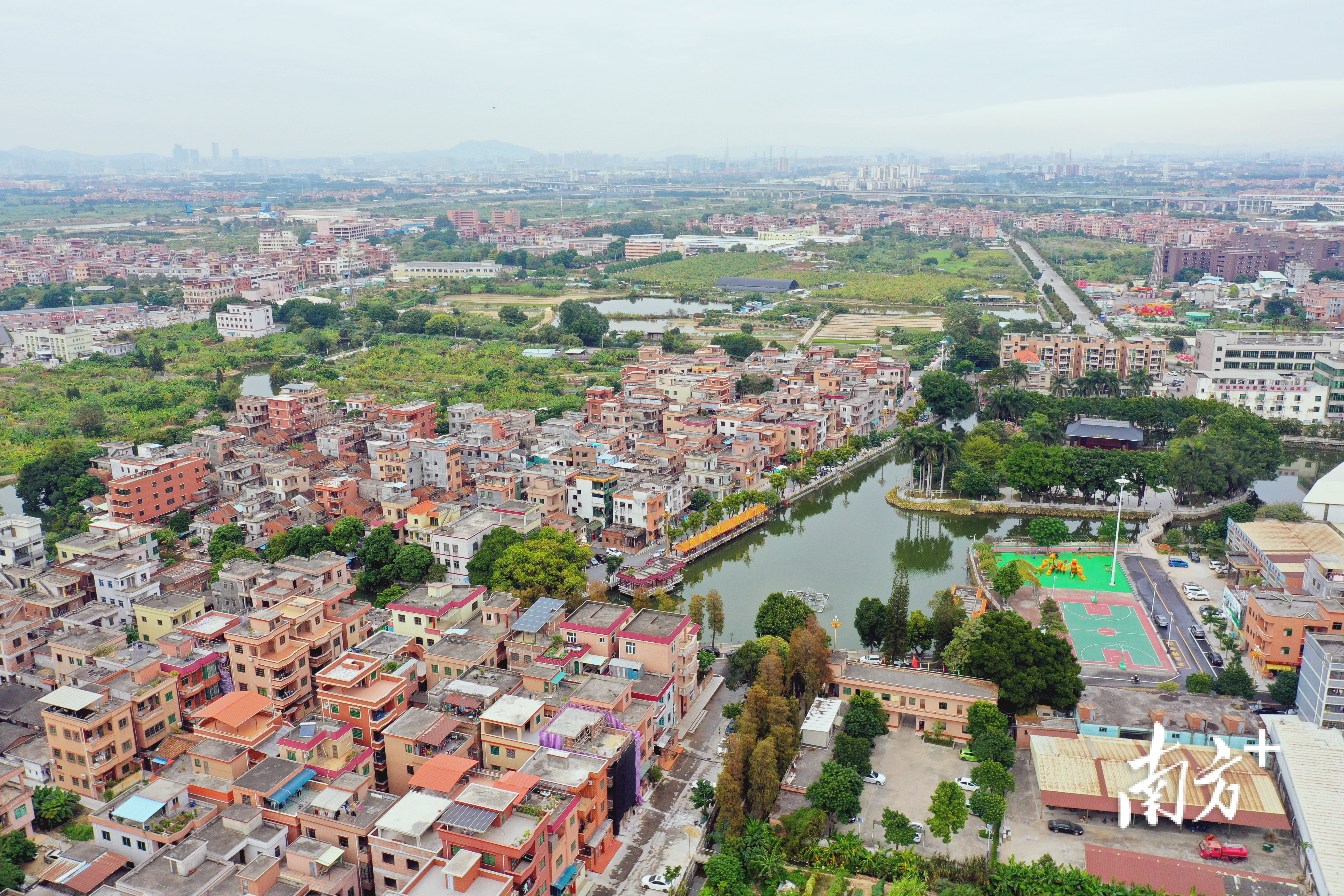 南方日报报道望牛墩镇官洲村村规民约约出美文明乡风育人心