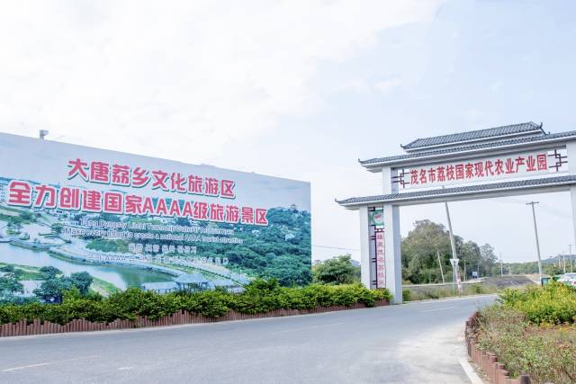 南方农村报 王富迪 拍摄