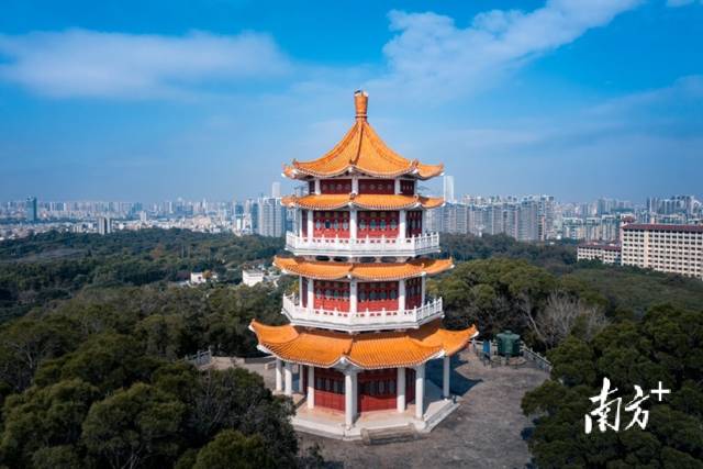 2月28日,中山紫马岭公园揽胜阁古塔在蓝天白云下熠熠生辉.梁嘉俊 摄