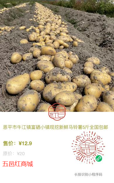 恩平市马铃薯大量上市啦！