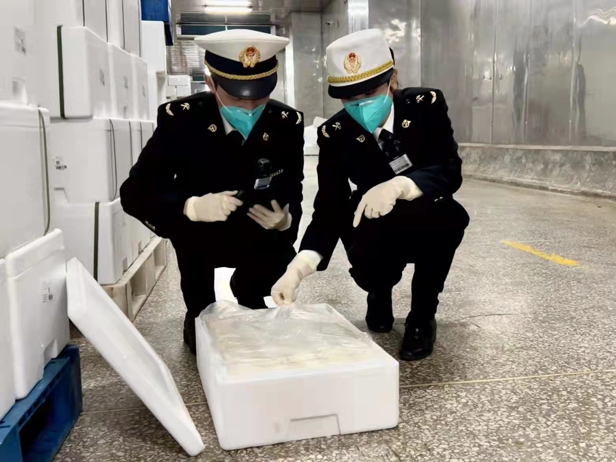 ▲常平海关关员正在对供港物资进行现场勘验