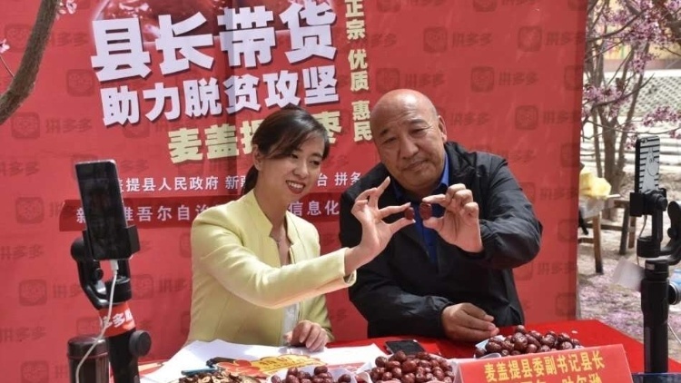 从西域到南陲，新疆网红飞抵“菠萝的海” | 徐闻菠萝日记④