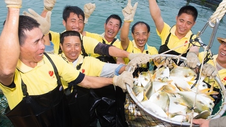 一鱼一城市：金鲳鱼与湛江的“咸鲜”人情味