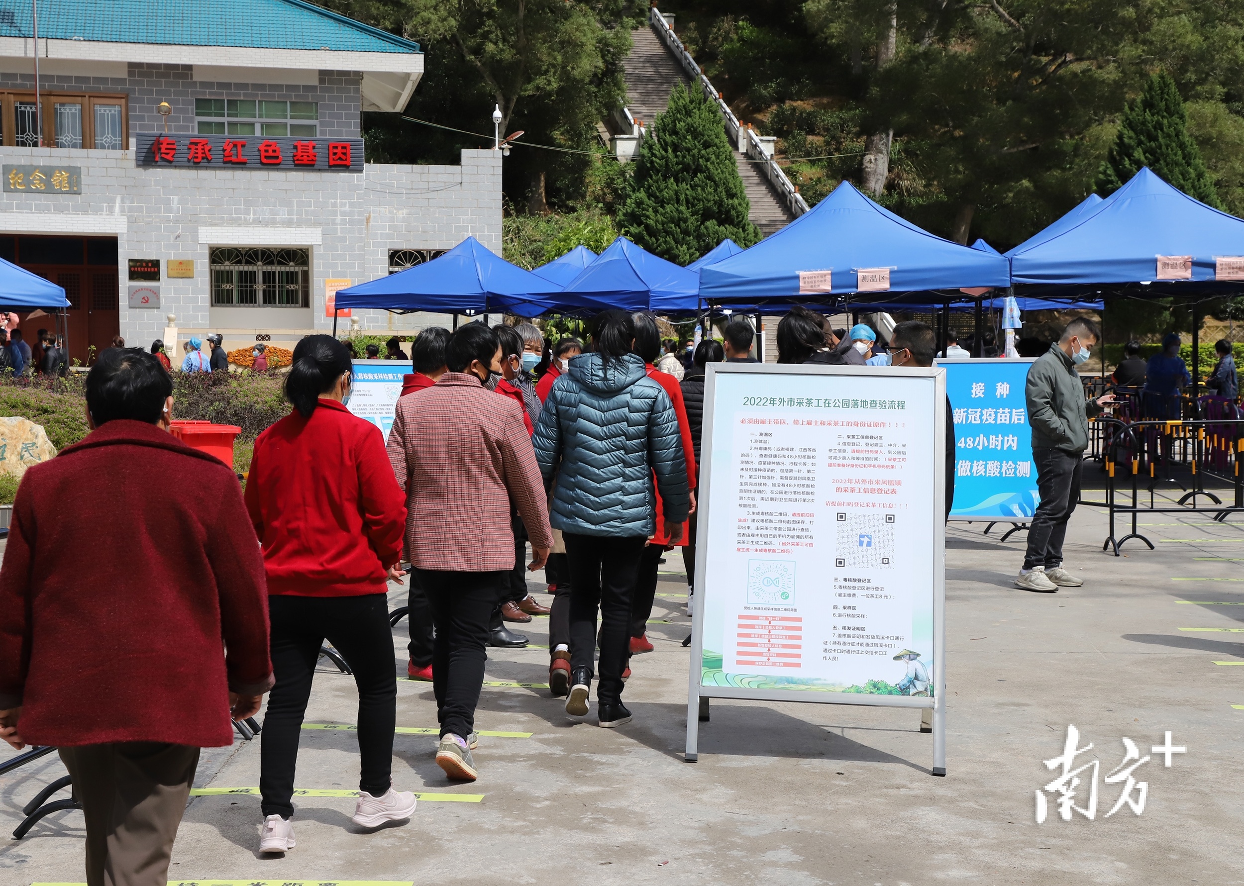 3月起,凤凰山革命纪念公园临时作为外来采茶工信息采集、核酸检测场所, 南方+ 纪金娜 拍摄 3月起,凤凰山革命纪念公园临时作为外来采茶工信息采集、核酸检测场所, 南方+ 纪金娜 拍摄