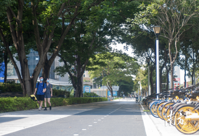 整治后的东莞大道慢行空间。 受访者供图