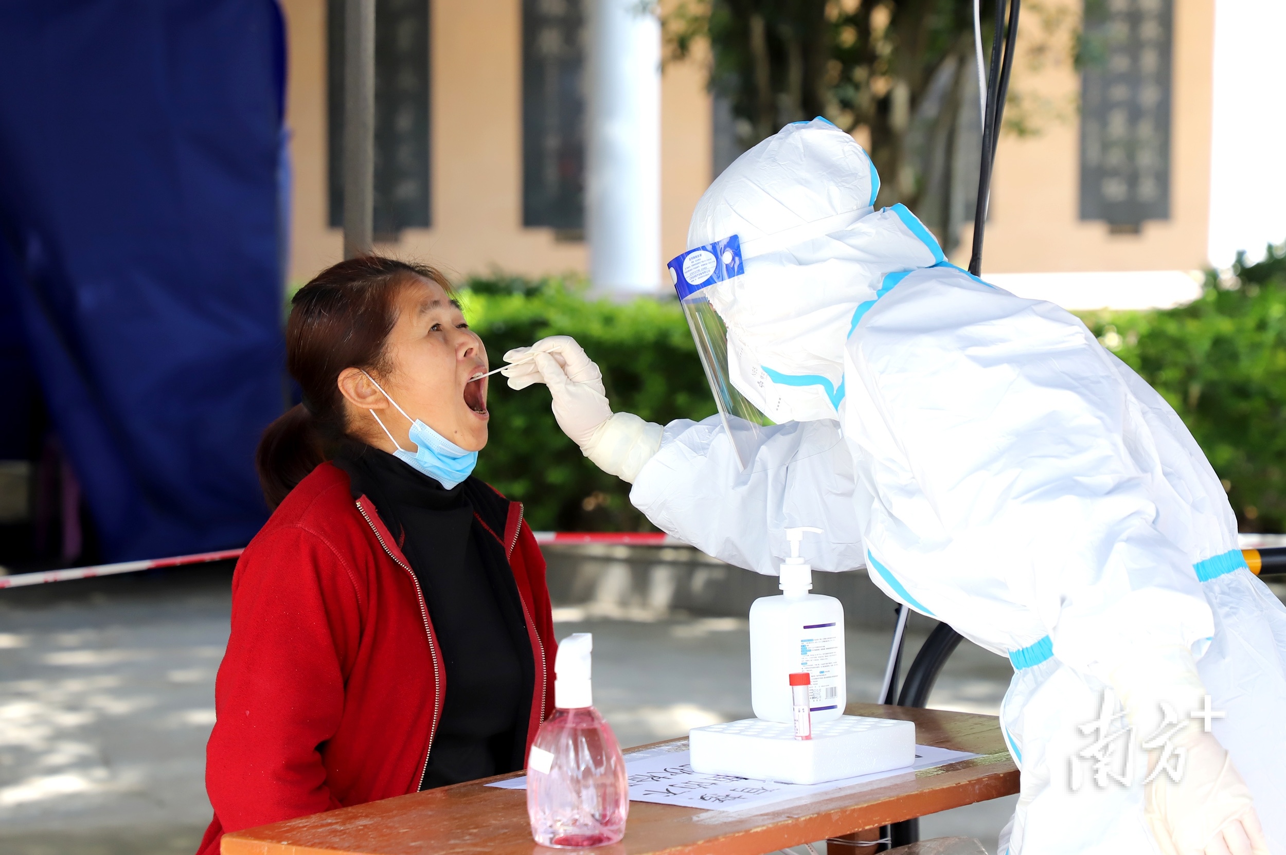 进行核酸采样。 南方+ 纪金娜 拍摄 进行核酸采样。 南方+ 纪金娜 拍摄